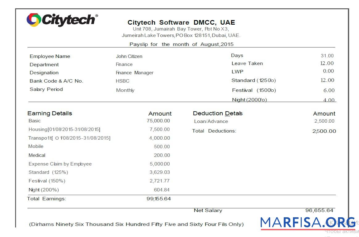 Printable UAE Citytech Software DMCC pay slip template